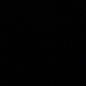 Meet your Posher, Ella